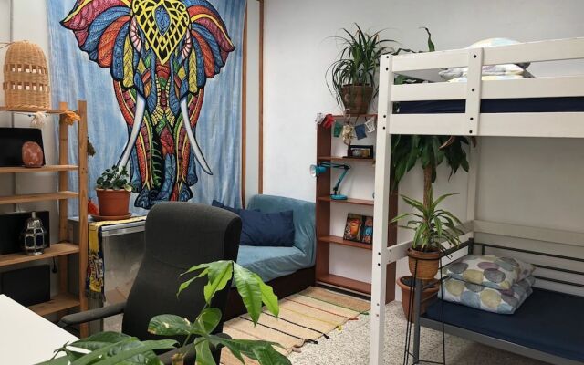 Tropical House Hostel