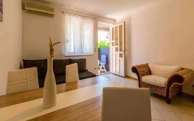 Apartment Alin