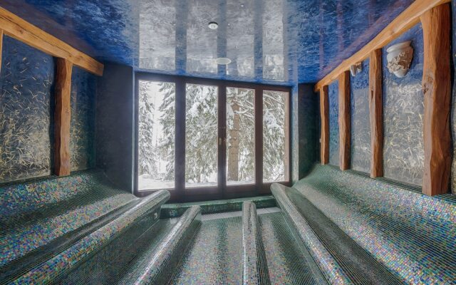 Wellness Hotel Borovica