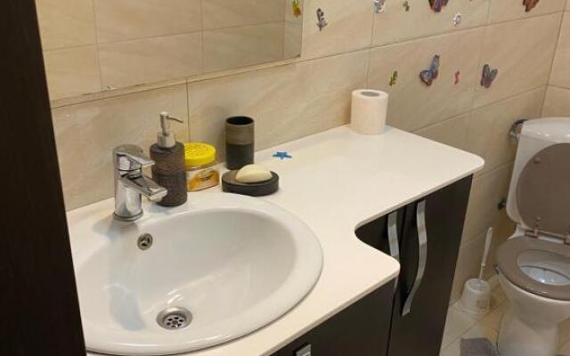 Cosmin Apartament Sondelor 4