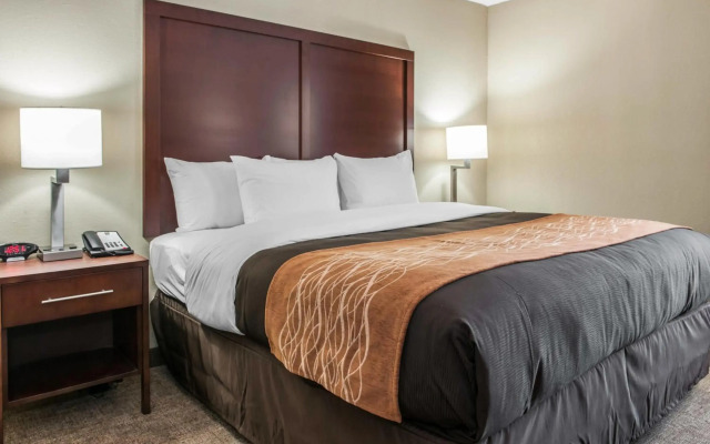 Comfort Inn Blue Ash North