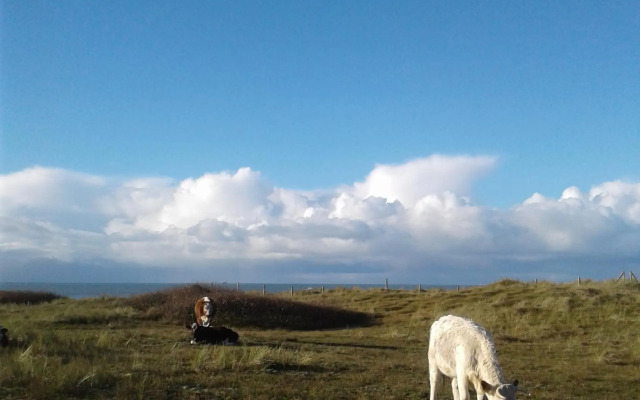 Vakantiehuis Hof Molenzicht