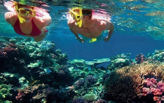 Ocean Views of Beautiful Burleigh Heads