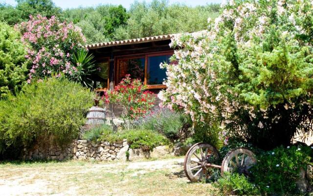 Agriturismo Sardo