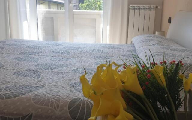 Karina House-check in H 24