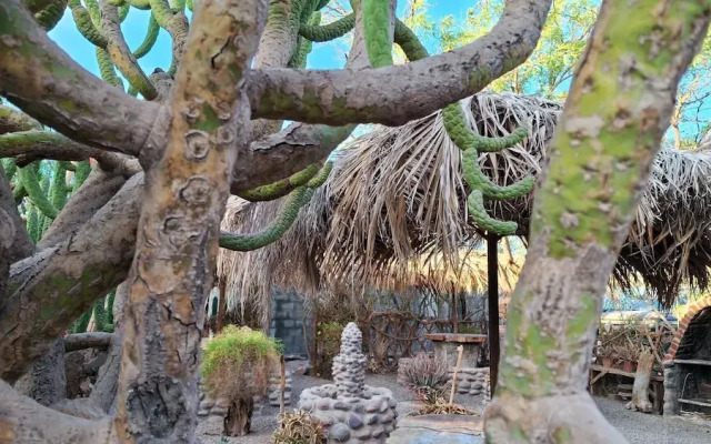 Hostal Jama