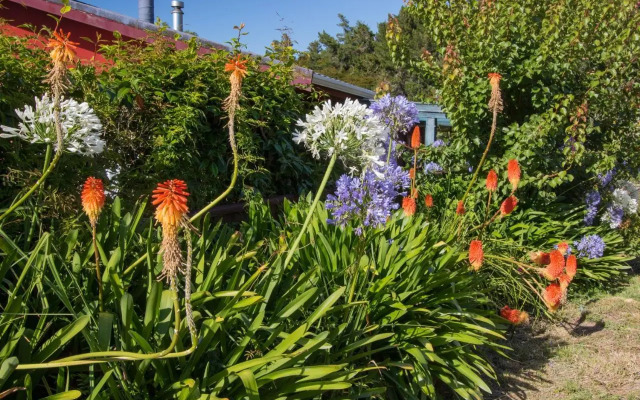 Tapu Bay Treasure - Kaiteriteri Holiday Home