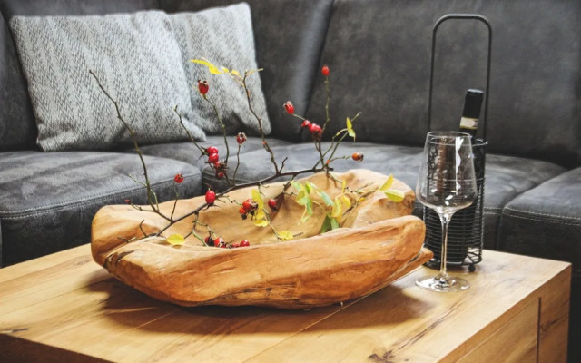 Dachstein West Apartment 1a