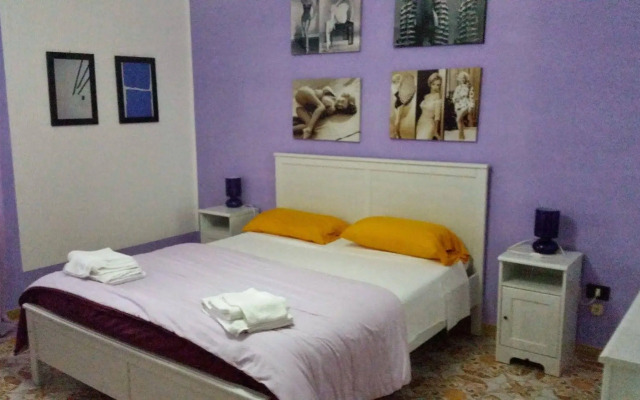 B&B Colors