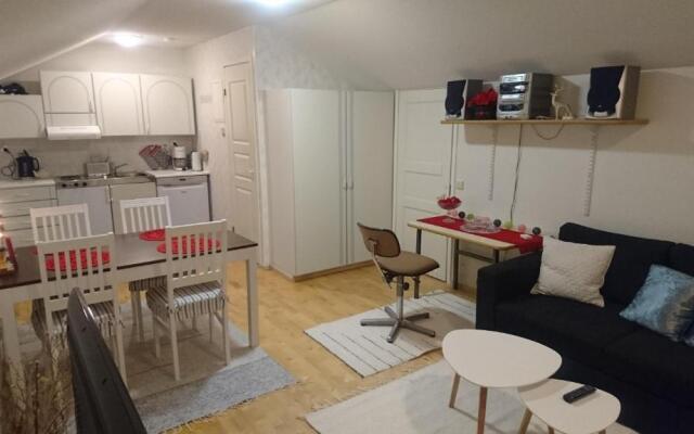 Arctic River Apartment