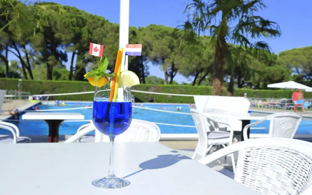 Apartment in Baia Domzia Near the sea