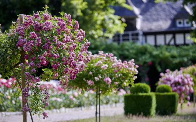 Schlosshotel Kronberg - Hotel Frankfurt