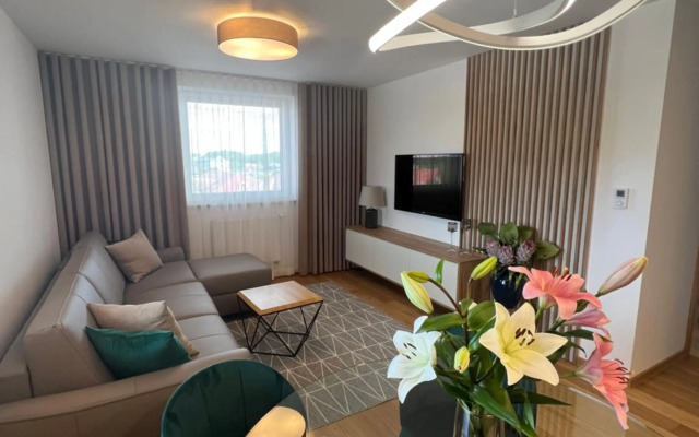 Downtown apartment Darinka