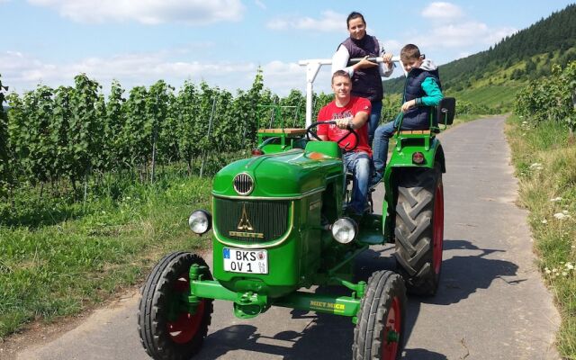 Ferienweingut Rainer Hirschen