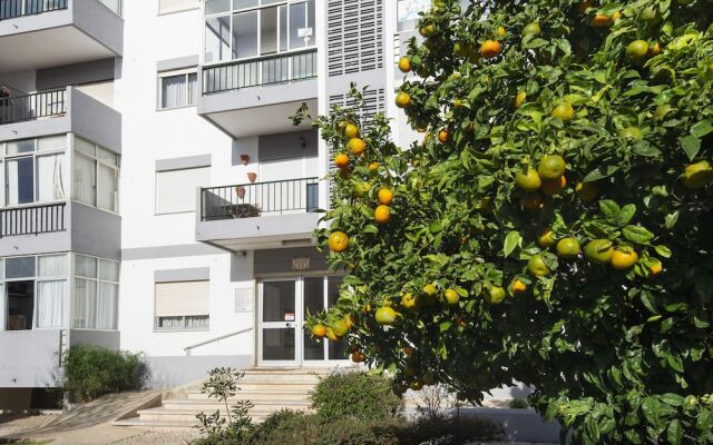 Olala Yolo Apartment