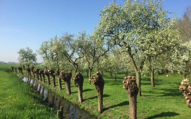 Broeks Bed En Brood