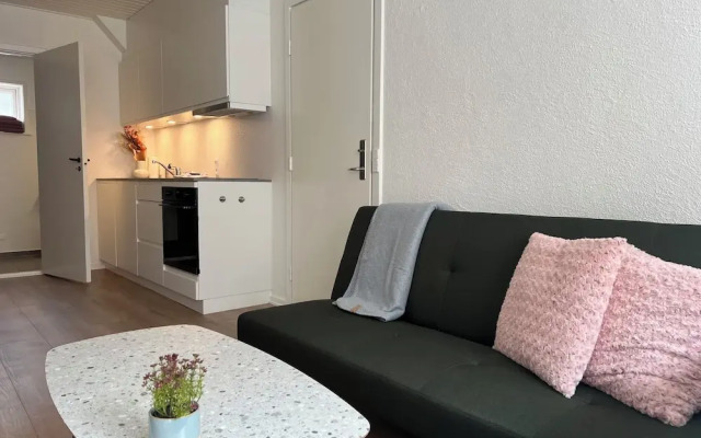 Cozy Flats Silkeborg - S1