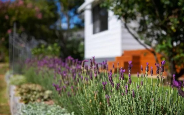 Waratah Up Douro - Your Innkeeper Mudgee