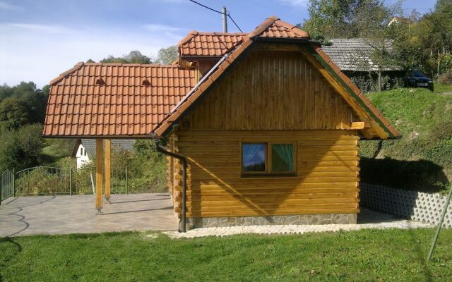 Vineyard cottage Janko in Metka