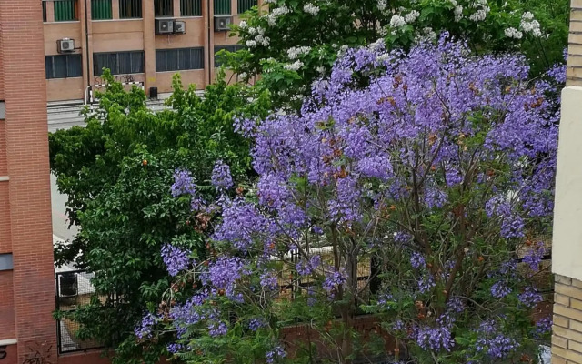 Luminoso y amplio apartamento