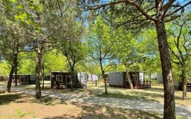 New Campsite in Camping Ca' Savio