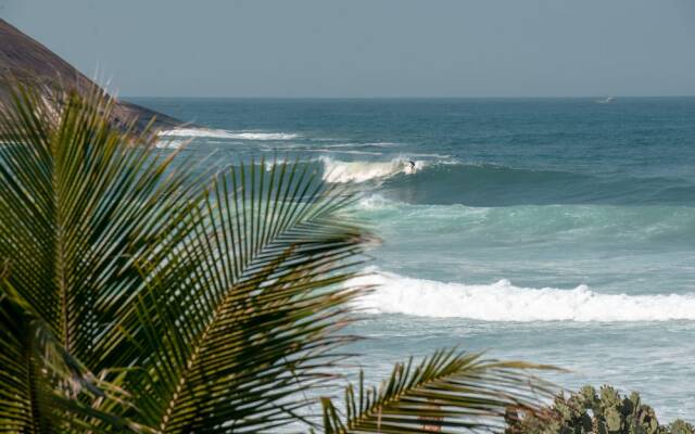 Longboard Paradise Surf Club