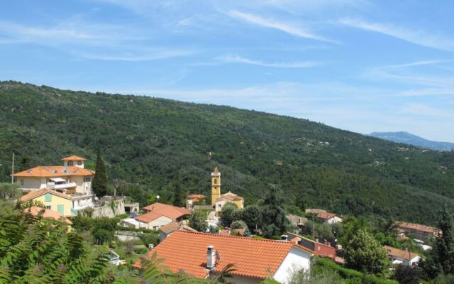 Schöner Stern (BDJ110)