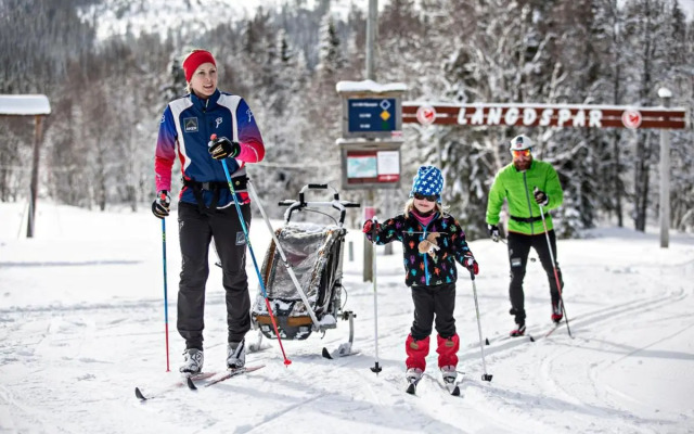 Edsåsdalen Fjällstation & Fjällby