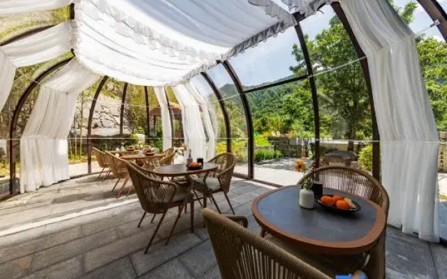 Dawn's Conjecture Wisdom B&B