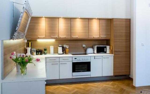 Luxury Apartment Maiselova