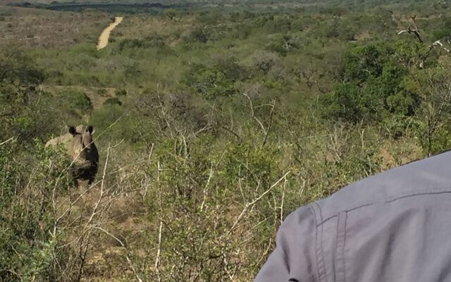 Rhino Ridge Safari Lodge