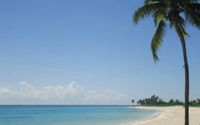 3 Bedroom Vacation Rental