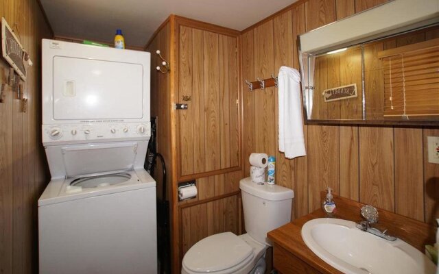 A Sleepy Bear's Hideaway