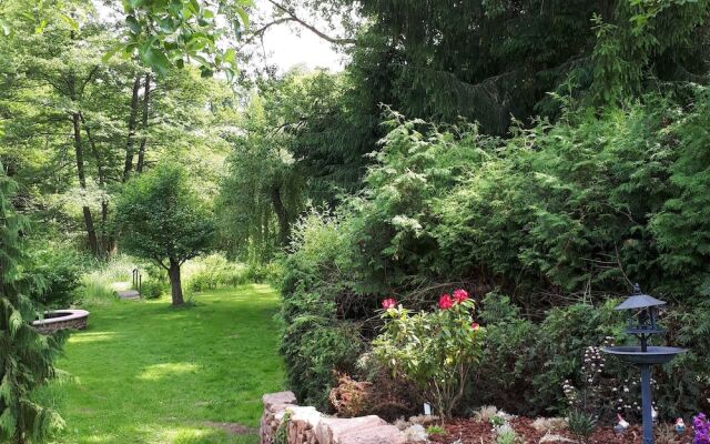 Apartment in Saint-dié-des-vosges With Terrace