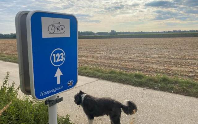 Route 123 Birchwood Pension