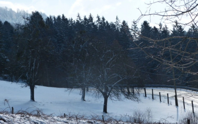 Le Bonheur dans le Pré