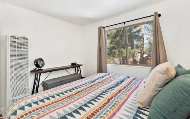 Sugar Bear Crossing #2496