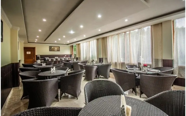 Hotel Divine Paradise Manali