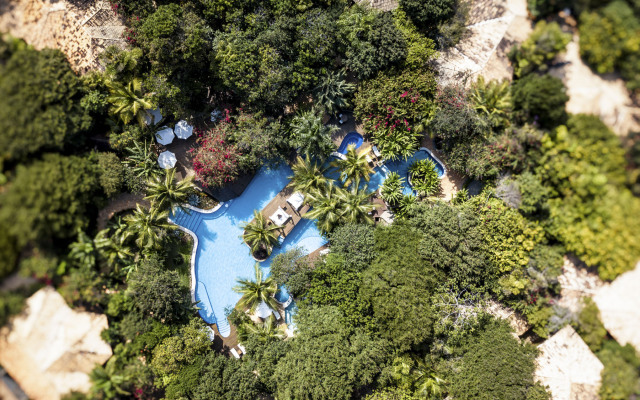 Sombra e Agua Fresca Floresta