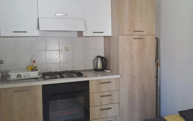 Apartments Boris Donji Karin