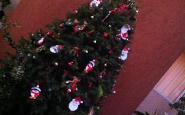 Hacienda El Dorado II