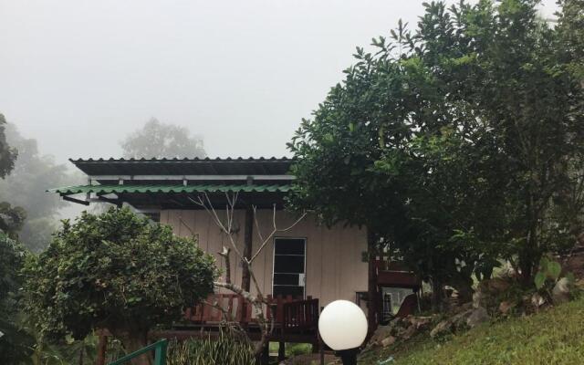 Forest Guesthouse