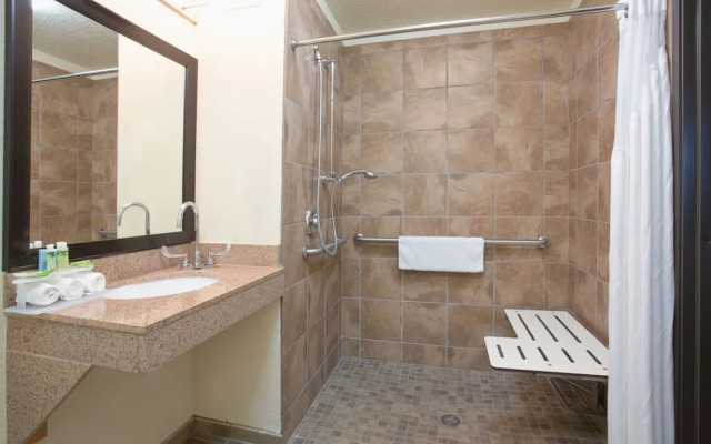 Holiday Inn Express Hotel & Suites Truth