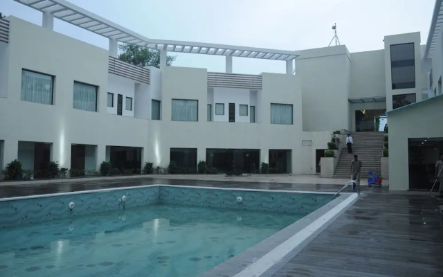 Golden Tulip