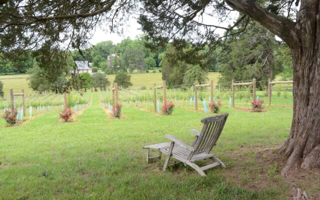 Woodville Bed and Breakfast