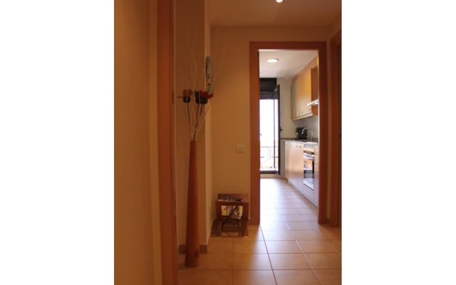 Ficus 4