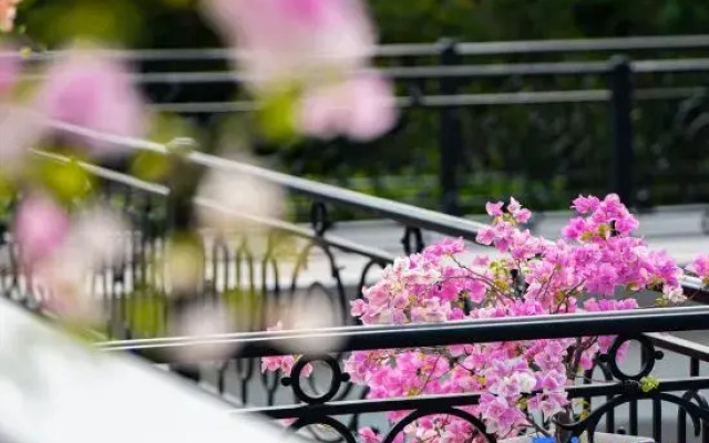 Nankunshan Pera Manor Pella Villa