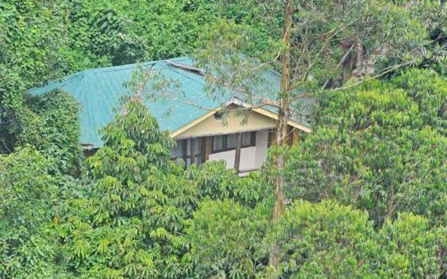 Gorilla Safari Lodge