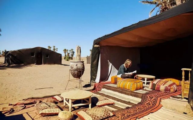 Camp Sahara Nights