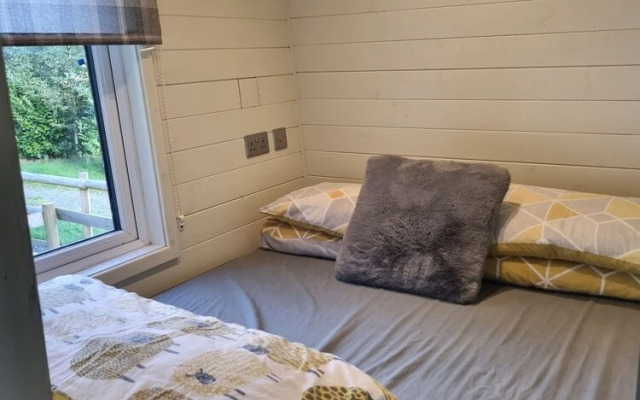 Glamping Hut - Riverview 5